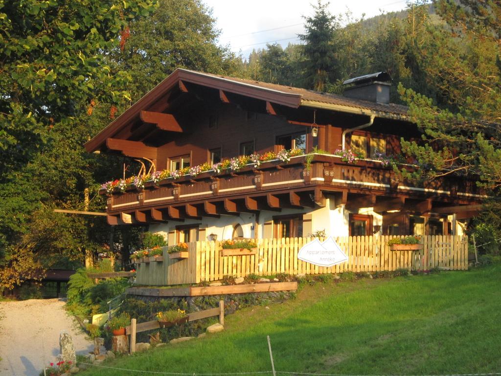 Appartement Anneke Niedernsill Εξωτερικό φωτογραφία