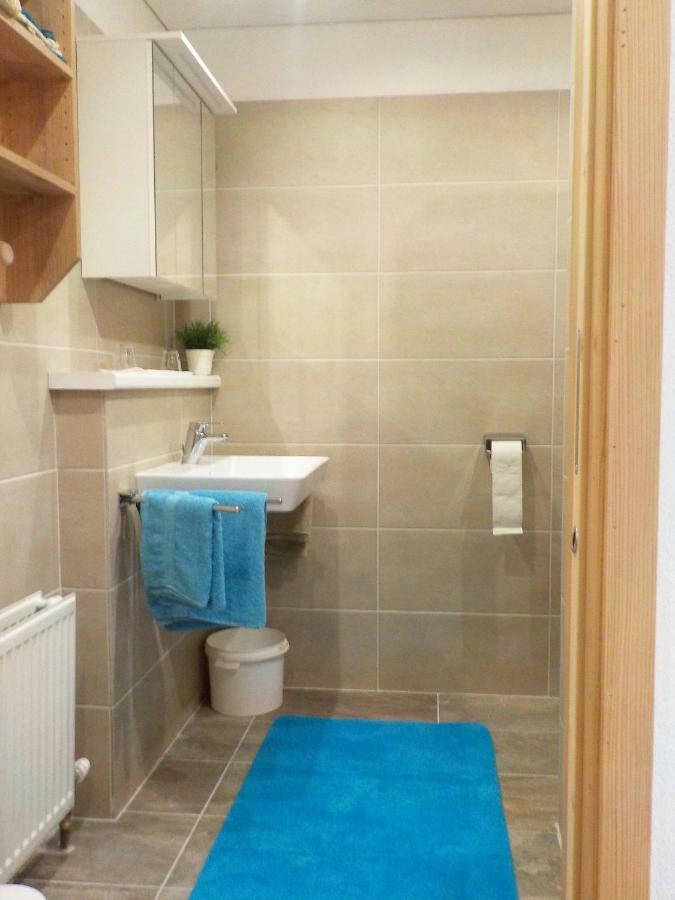 Appartement Anneke Niedernsill Εξωτερικό φωτογραφία